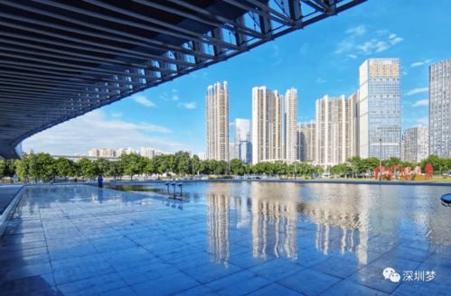 中央定调 国家八部门 未来3年深圳房地产将要实现一个大目标